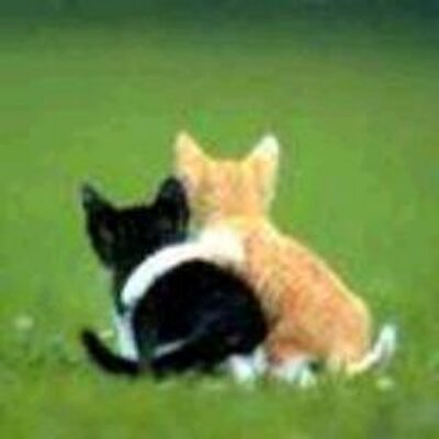 Profile Picture of Scott Ramos (@diaprocinul) on Twitter