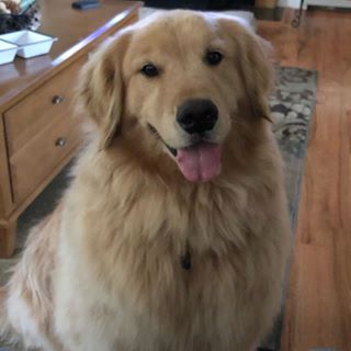 Profile Picture of Mike Presutti (@mike.presutti.94) on Facebook