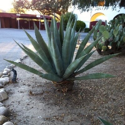 Profile Picture of Jim Duarte (@DmanJD) on Twitter