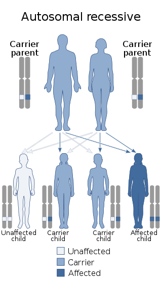 Profile Picture of Fazio–Londe diseaseon Wikipedia