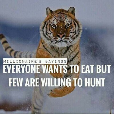 Profile Picture of Kamal Kapoor (@_kamalkapoor) on Twitter