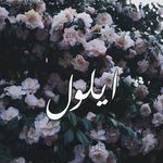 Profile Picture of أميرة حبي أنتي (@shaer.asaad) on Instagram