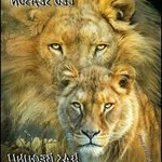 Profile Picture of Angelo Howell (@lolo2781) on Instagram