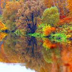 Profile Picture of nichole reese (@nicholereese60) on Instagram