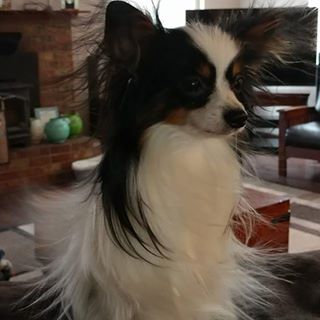 Profile Picture of Constance Kincaid (@Constance.Kincaid) on Facebook