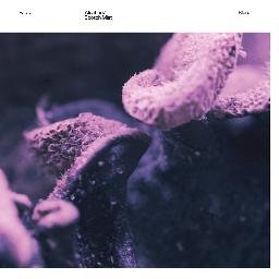 Profile Picture of Debbie Krause (@DebbieKrause2) on Twitter