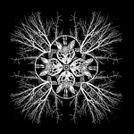 Profile Picture of Benjamin Davis Brockman (@brockchop) on Flickr