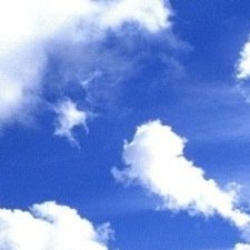 Profile Picture of زياد الزهراني (@harms_tamara) on Twitter