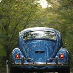 Joy Guarino-Dangler - Instagram Profile Picture of Joy Guarino-Dangler (@pilot4824) on Instagram