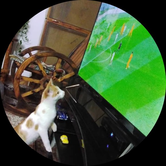 Profile Picture of Saffaneh Ahmadzadeh (@saffaneh_a) on Poshmark