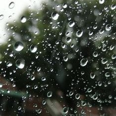 Profile Picture of Cheng Huang (@chenghuang18) on Twitter