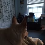 Profile Picture of Brenda Van Bruggen (@brenda.van.bruggen.586980) on Facebook