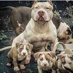 Profile Picture of Robert Bakalar (@bakalarrobert) on Instagram