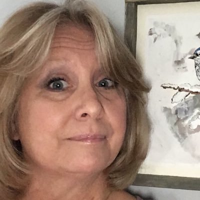 Profile Picture of Sandy Ribeiro (@sandy_K9Dingos) on Twitter