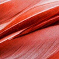 Devin Draper - Quora Profile Picture of Devin Draper (@devin-draper-14) on Quora