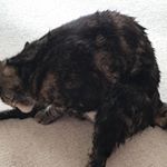 Profile Picture of Adam Lye (@adamlye) on Instagram