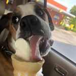 Profile Picture of James Frye (@james_frye___) on Instagram