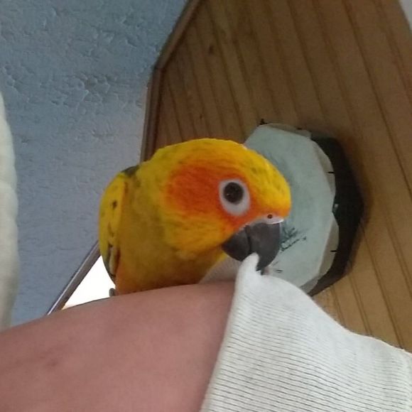 Profile Picture of Tyler Clavertte (@tylerclarvette) on Poshmark