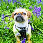 Profile Picture of James Parr (@parr3415) on Instagram