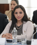 Profile Picture of Lira Villalvaon Wikipedia