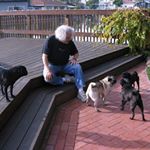 Profile Picture of Mark Posner (@markposnermd) on Instagram