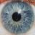 Profile Picture of Tim Burgavan (@Fact_Hunt) on Flickr