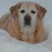 Profile Picture of Joyce Eckart (@joyce.eckart.31) on Facebook