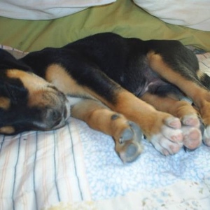 Profile Picture of Ralph Reyna (@164343966) on Myspace