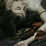 Profile Picture of Zarnish (@laurenlawrence0000) on Instagram