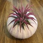 Profile Picture of Donna Monteith (@djmonty94) on Instagram