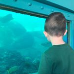 Profile Picture of Cheryl_Calhoun (@cheryl_calhoun_) on Instagram