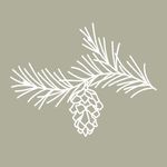 Profile Picture of Sini, Milla & Emma | Hääkutsut, Juhlat & Brändit (@havujahelmi) on Instagram