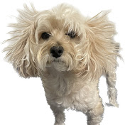 Profile Picture of HyeJun Park (@BrotherThor89) on Youtube