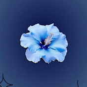 Profile Picture of Arsemakidist Mengesha (@arsemakidistmengesha4705) on Youtube