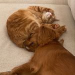 Seth Horton - Instagram Profile Picture of Seth Horton (@seth_horton4) on Instagram