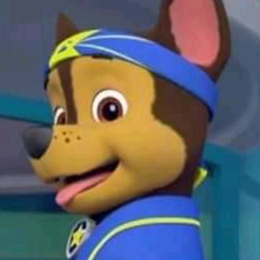 Profile Picture of Chase Baxter (@chasey_2006) on Tiktok