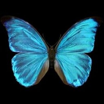 Profile Picture of Sharman George (@Sharman_George) on Twitter