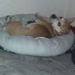 Profile Picture of Dawson Schmidt (@dawsonschmidt) on Instagram