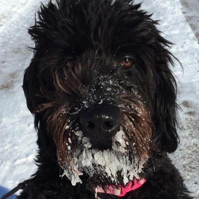 Profile Picture of Pam Byrd (@pambyrd) on Twitter