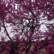 Profile Picture of Simon Ponder (@simonponder1) on Youtube