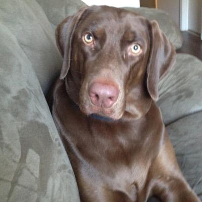 Profile Picture of Eric Pamperin (@va_eric) on Twitter