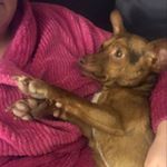 Profile Picture of Stacey Abramson (@staceyabe) on Instagram