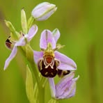 Profile Picture of David Hemming (@David-Hemming) on Facebook