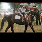Profile Picture of Lachlan Stuart (@thereallachlanstuart) on Instagram