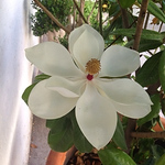 Profile Picture of Guadalupe Ramirez (@gpermrz) on Flickr