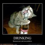 Profile Picture of Bryson Duff (@lscorvettelover) on Instagram