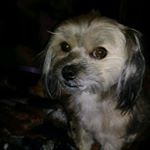 Profile Picture of Alexis Gonzales (@alexisgonzales927) on Instagram