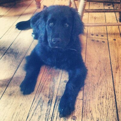 Profile Picture of Jake Devine (@Doons_09) on Twitter