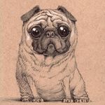 Profile Picture of Paige Mackay (@paigemmkayy) on Instagram