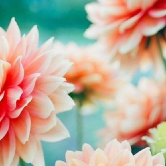 Profile Picture of Jill Napert (@jayennscloset) on Poshmark